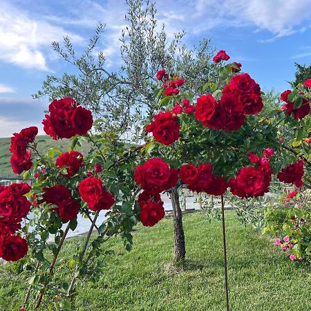 Masso Alle Rose Di Santarsiero Serena Монтайоне Екстериор снимка
