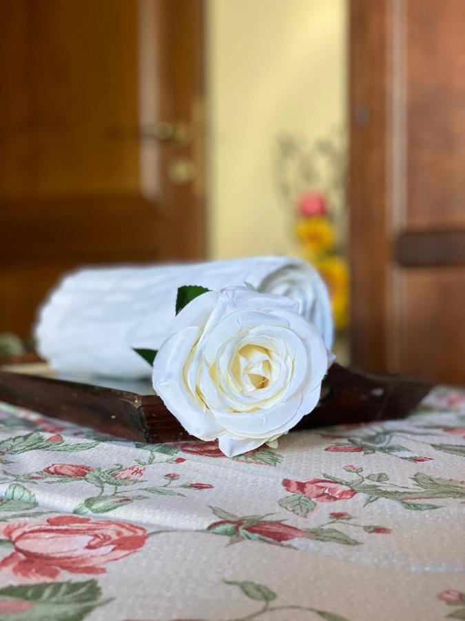 Masso Alle Rose Di Santarsiero Serena Монтайоне Екстериор снимка